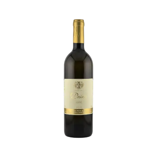 2022 Païen Vieilles Vignes, Simon Maye, Chamoson