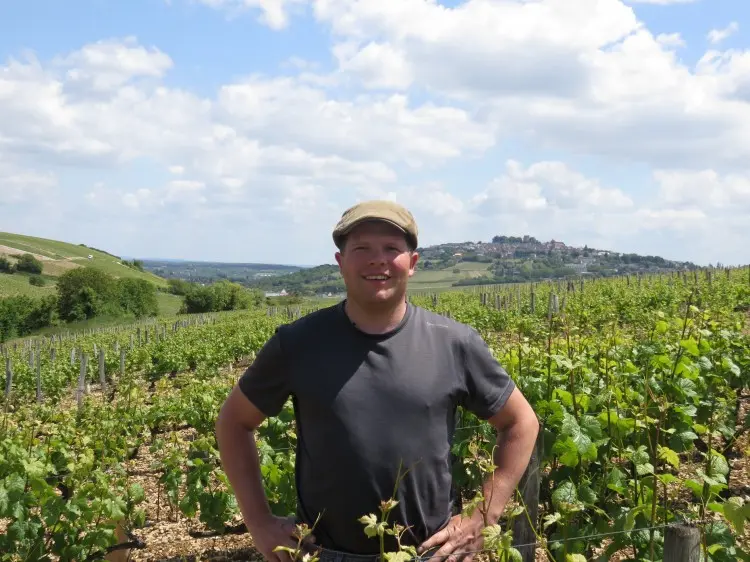 Image vigneron